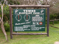Tembe Elephant Park